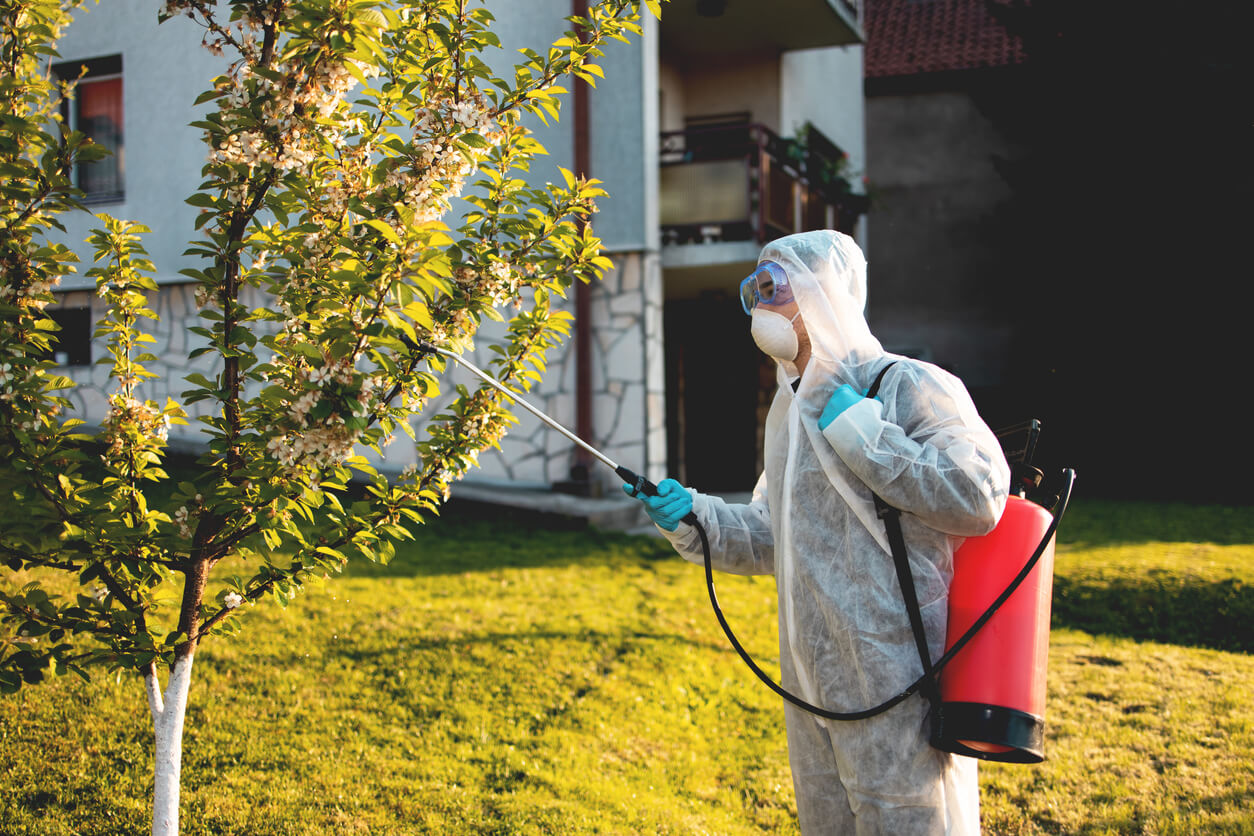 Safe and Effective Pest Control Methods for Homes with Pets