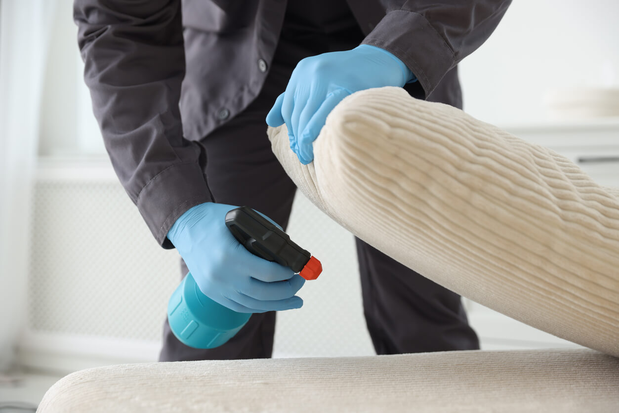Safe and Effective Pest Control Methods for Homes with Pets